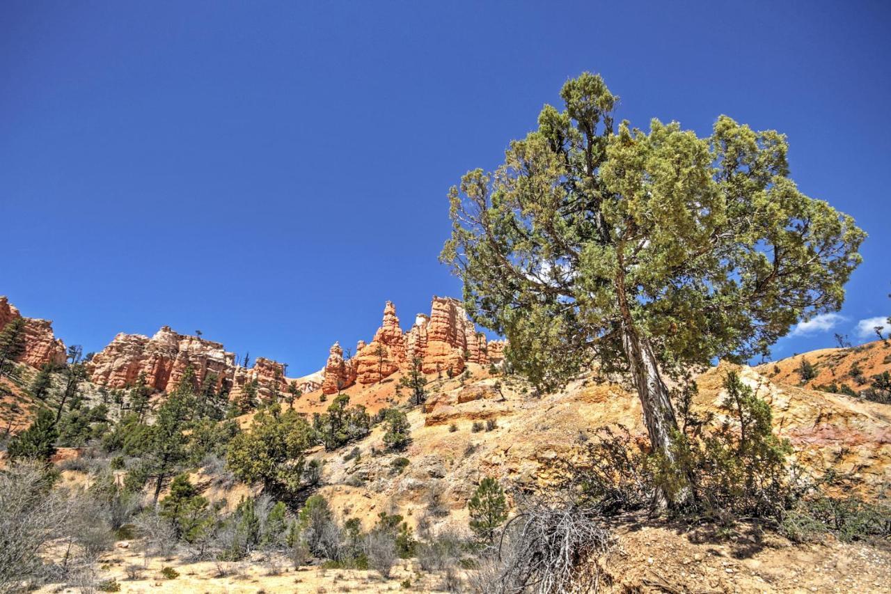 Bryce Canyon Area House With Mountain Views! Tropic Eksteriør bilde